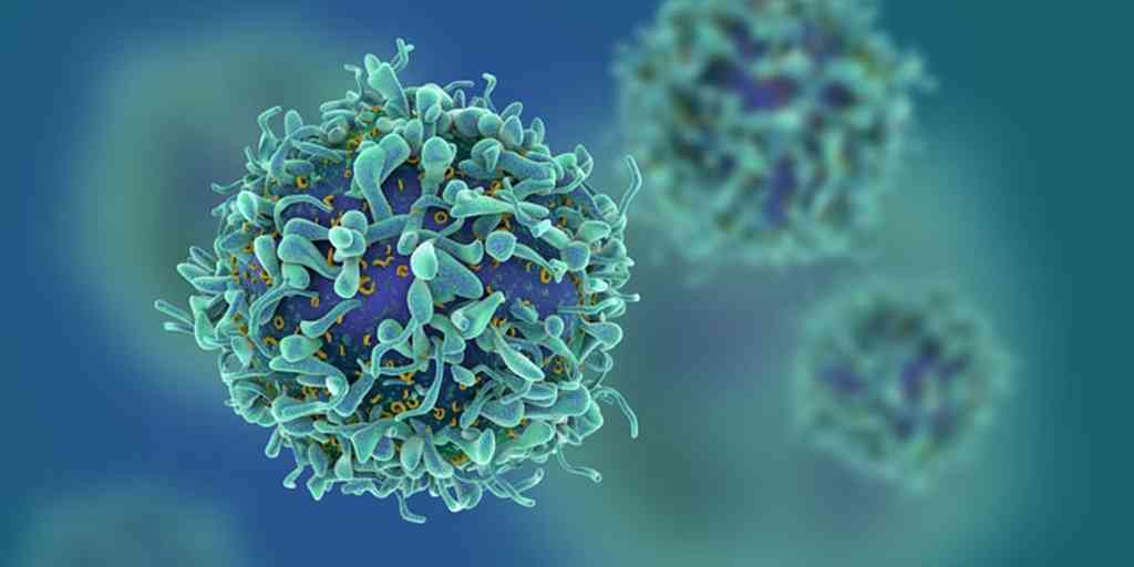 connectrue's tweet image. T cells in the human body; new hope for the huge oncology connectrue.com/t-cells-in-the…