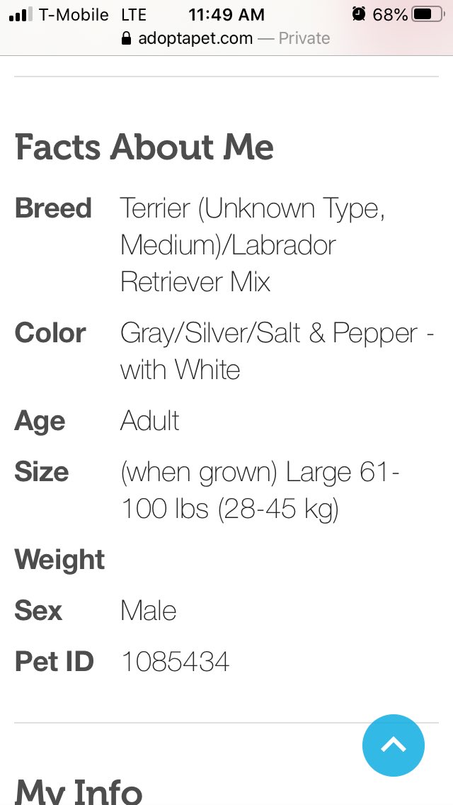 One of the common practice now is to call them just “terrier mixes” or label them as other breed mixes. Like this “unknown terrier lab mix”, it’s done purposely to push these dog onto people and try to obscure the breed.