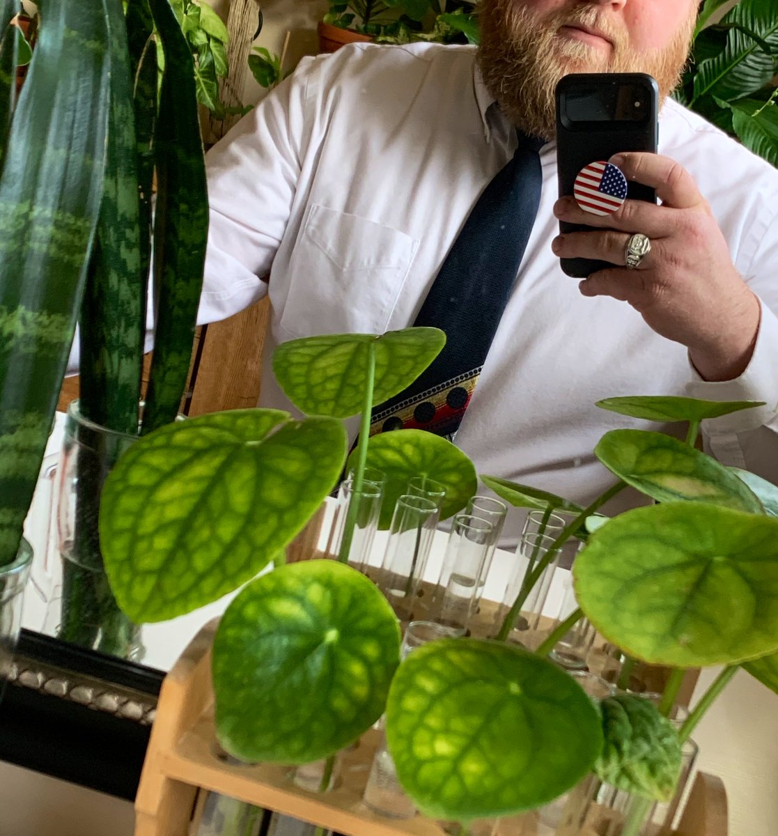 LDSBeard's tweet photo. @JPBellum #TieCheck #DezNat #BeardCheck #PlantCheck https://t.co/FVqxebjmlG