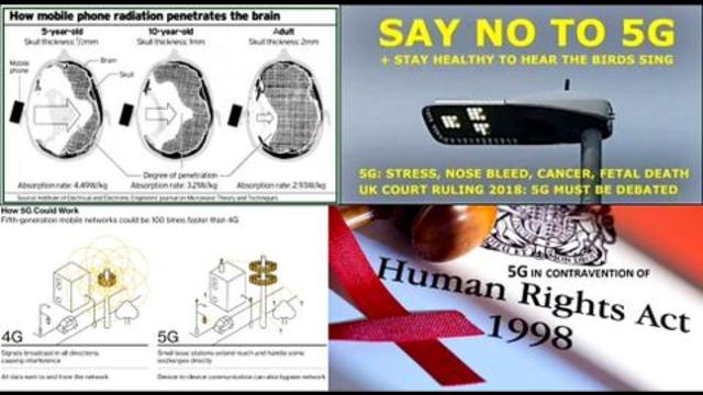 guruhulan's tweet photo. https://t.co/YcwMZ0gNLd say no to 5G network if there is no #Doctors #nurses who like to save people on this earth #thinkbefore #savenextgeneration #savekids #saveearth #no5G  dont kill us for your fucking business with  #Emf  waves. we are not #RATS  or #Pigs no experiment on us https://t.co/bLt7kIwzmb