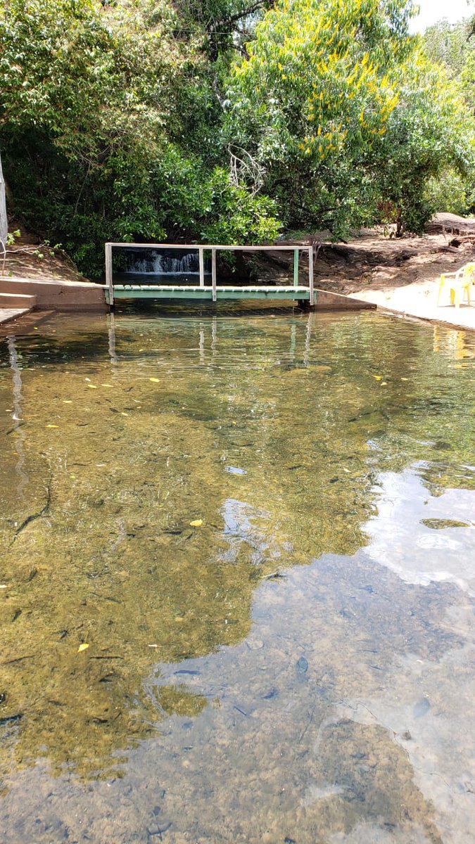pedracaida's tweet photo. E aí bora pra um #fds ou semana mesmo que seja! O importante é escolher bem #pedracaida #chapada #mtur #turismo #bbb #chapadadasmesas https://t.co/NFvKNWPoGb