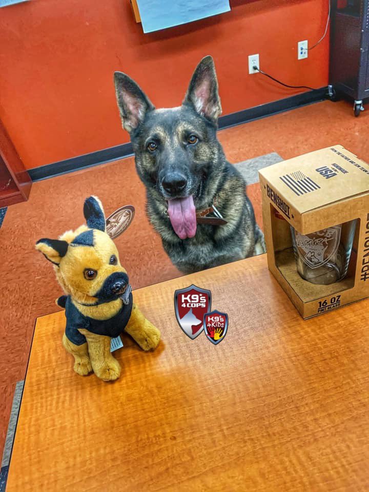 K9sOfficial's tweet photo. We’d like to wish this big guy a Happy 3rd Birthday. K9 Gandor is enjoying is birthday by playing in the snow and napping by the fireplace!🐾☃️💙
#K9Gandor #K9s4COPs #K9s4KIDs #ReelEmInFoundation https://t.co/XkL1evg8fw