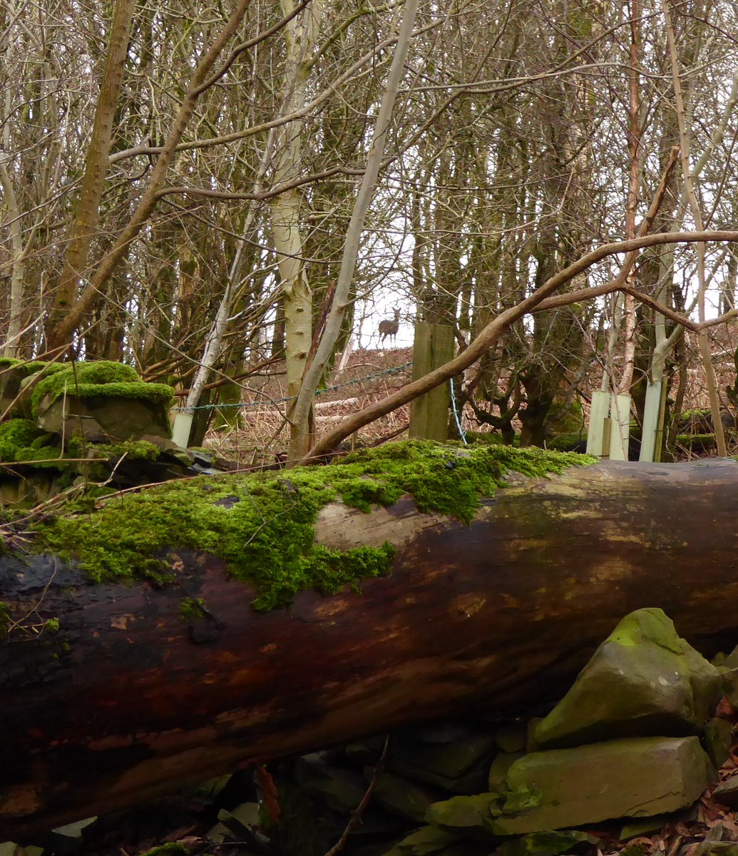 Katy Ewing tweet media