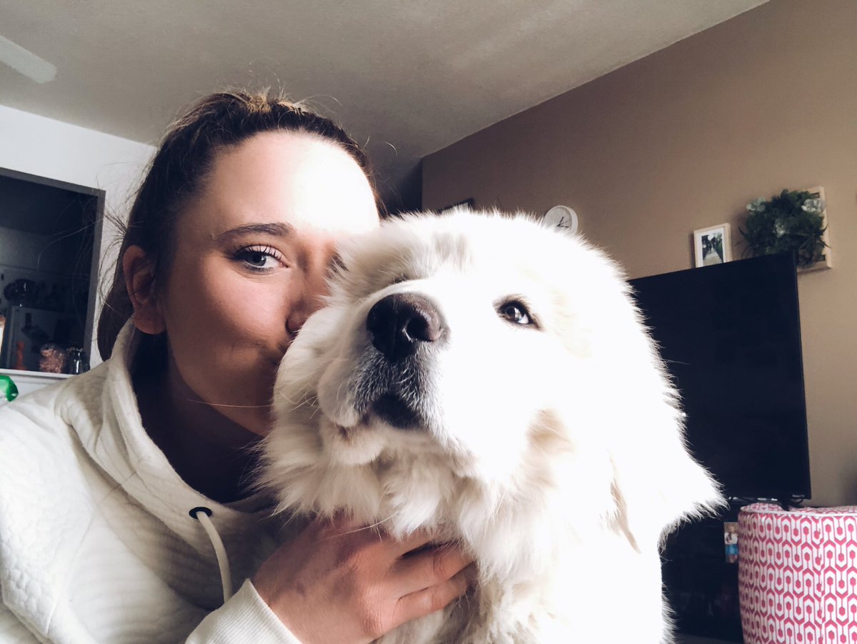 sure_bert52's tweet photo. sorry I just feel like everyone needs a chance to see my girl✨ https://t.co/bj9QBwrRk6