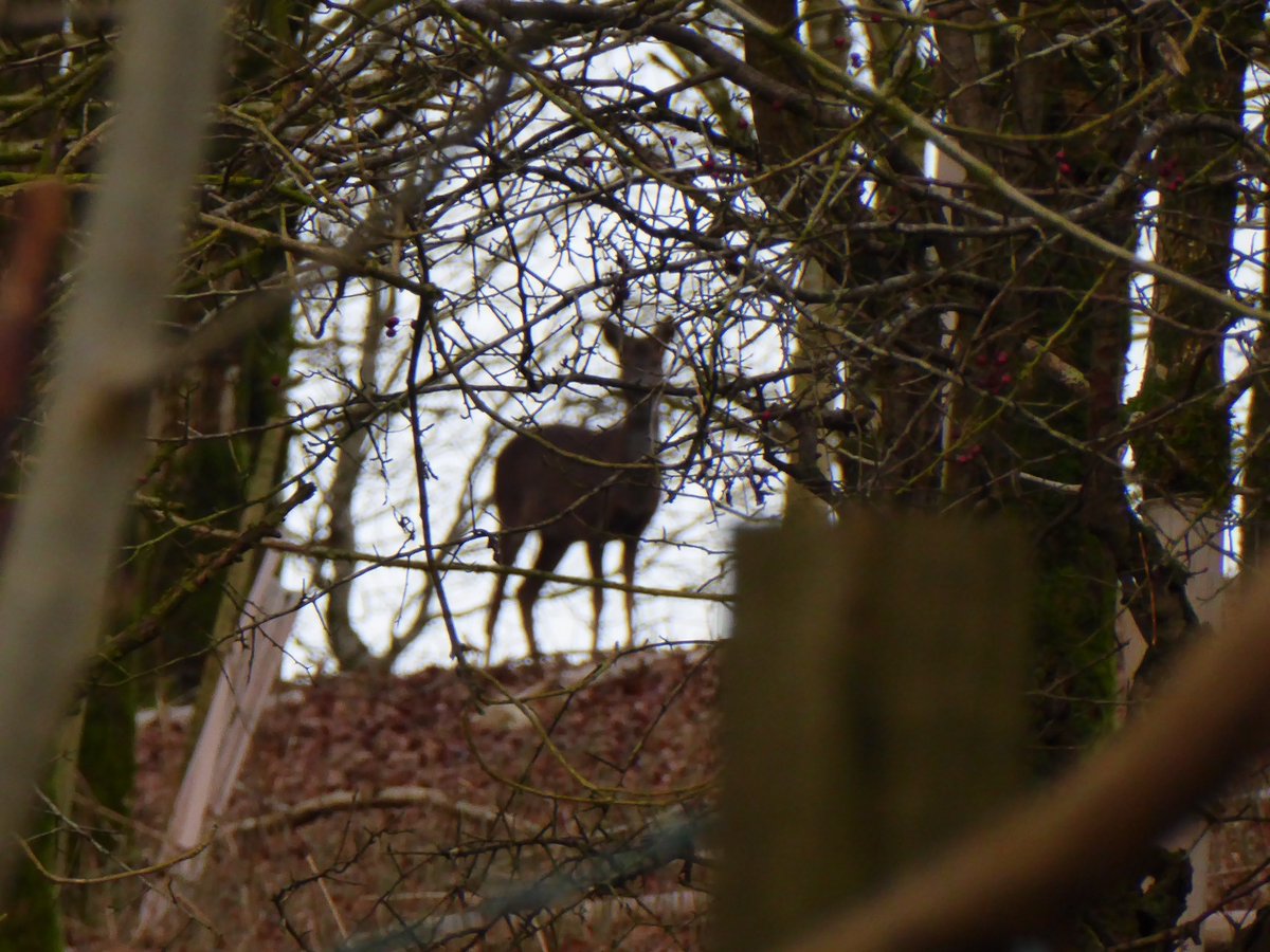 Katy Ewing tweet media