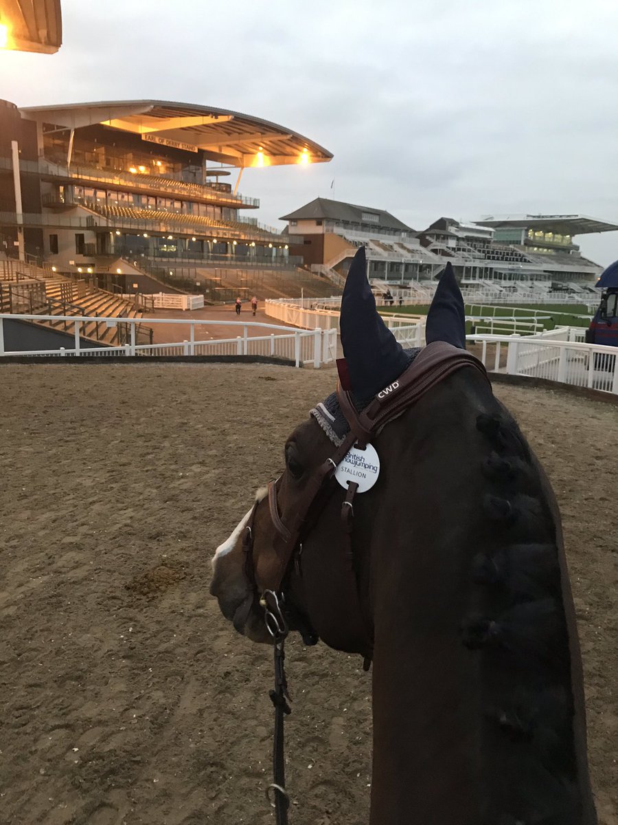 _k8_e_'s tweet photo. Fantastic weekend at Aintree, horses all flying topped with Bayjing double clear and 4th in Grand Prix 🙌🚀🔝 https://t.co/zDvWtL137z