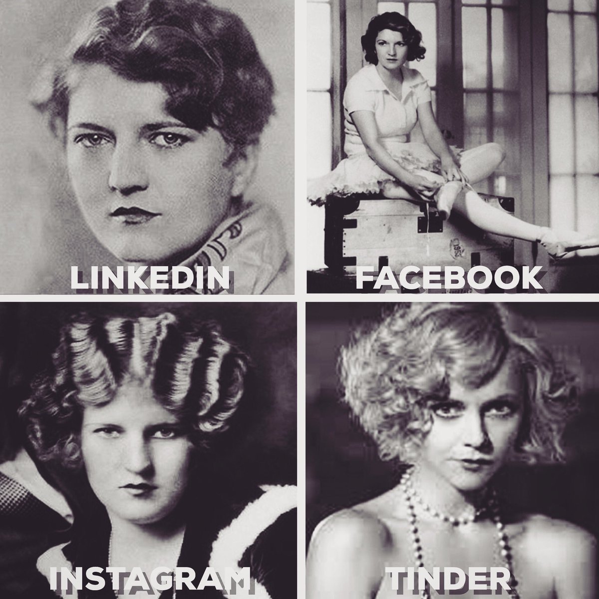 Zelda joins the fun! 
#dollypartonchallenge  #zelda #zeldafitzgerald #z #DollyPartonchallange