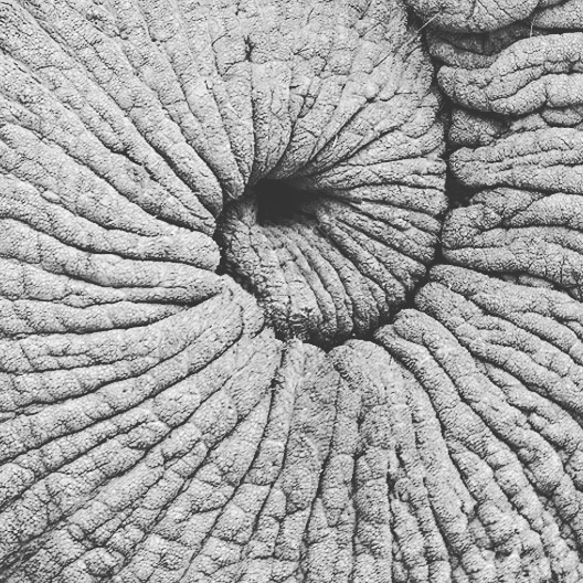isaac_mael's tweet photo. Swirl..... I have to be patient...
😇
#swirlwithmaelisaac #swirl2020 #elephant #trompe #newsong2020 #harp #harpe #electronicmusic #electroacoustic #circle #tourbillon #twirling #swirlingart #lookingforward https://t.co/zQRxpjxVVh