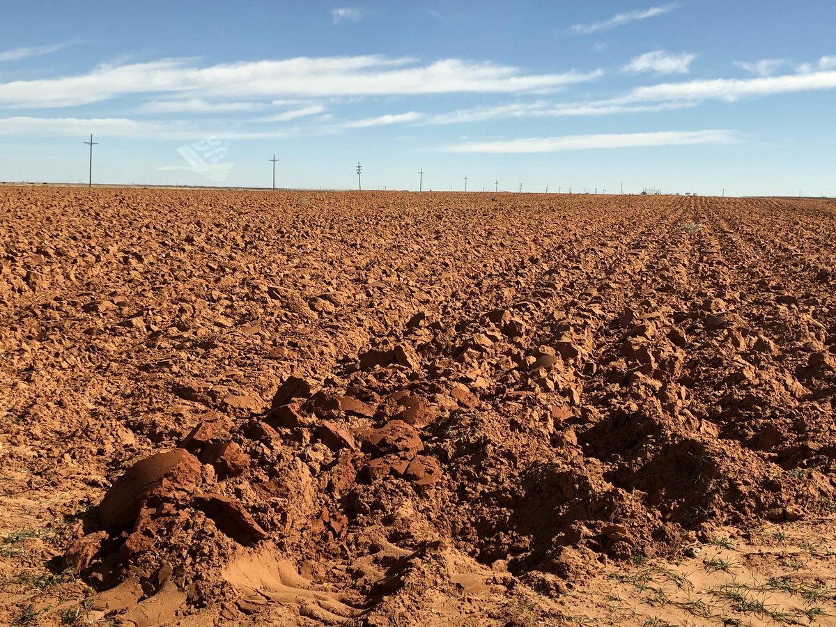 tchambersttu's tweet photo. Red dirt - Ain’t nothing like it #RedDirt #TerryCounty #Texas https://t.co/OMqW4qyR2u