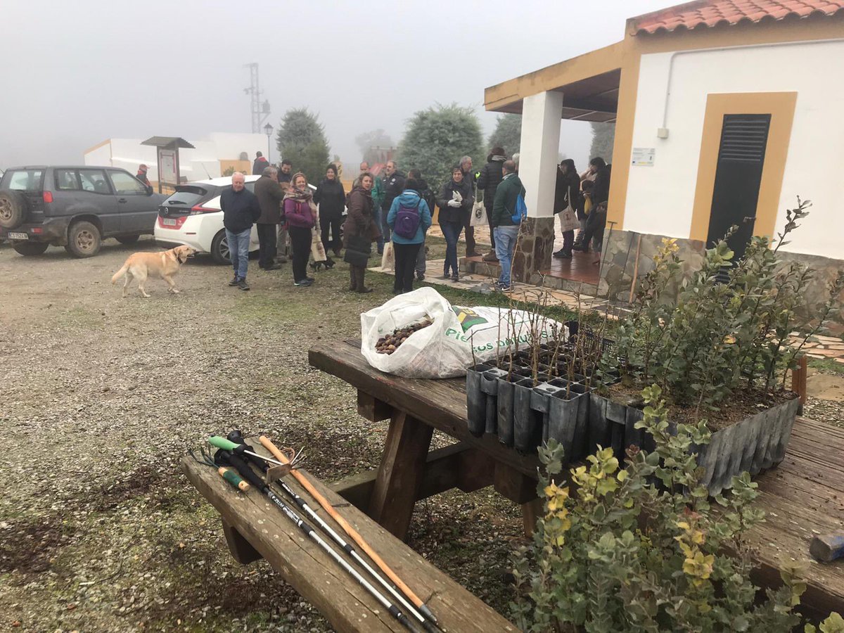 Hemos contribuido con #LaGranBellotadaIbérica sembrando más de 2.000 bellotas y plantando 100 encinas y robles en #Atalaya #RíoBodión. Mil gracias por participar. Los garbanzos y el resto, riquísimo y sin plásticos de un solo uso. <a href="/GrandeBellotada/">LaGranBellotadaIbérica - AGrandeBolotadaIbérica</a> #CuidamoselMedioambiente