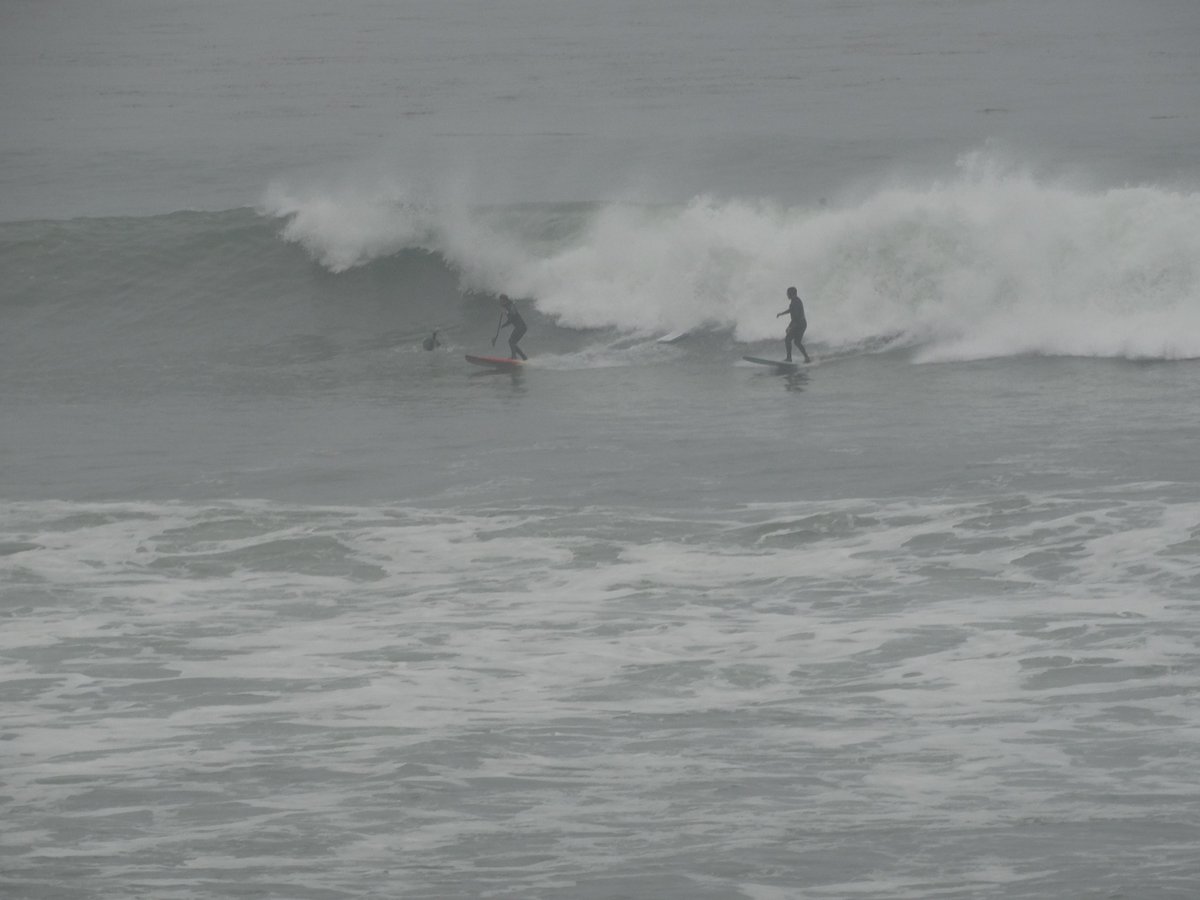 RedondoSurf's tweet photo. Ocean sport meets Surfer at The Cove #Surfer #oceansport https://t.co/3CgUtz2Lfe