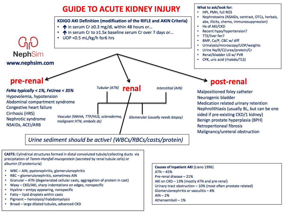 Neph_SIM's tweet photo. Getting ready for a nephrology rotation? Here’s our guide and approach to #AKI
(Remember that the FeNa has several limitations...)
https://t.co/dPA2rDCHnN
#FOAMed #TipsforNephFellows https://t.co/0sQNh1YYrO