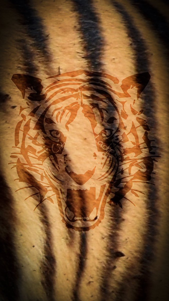 Danny85Johno's tweet image. Absolutely delighted for @adiecostello all the staff, supporters &amp;amp; especially the players @HullCityLFC this evening #WeWillDoIt #3points #TigressWay