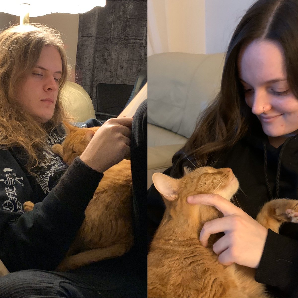 elizabeth_allum's tweet photo. Please consider donating in Fearghas' memory 🧡 Sadly, he is no longer with us, but we can help to fund research so in future no pet owner has to feel the heartache that we do right now. @AHTcharity
https://t.co/KJQ8afDFIc
#CatsOfTwitter #fundraiser #AHT #FelineHCM https://t.co/HjomySLYrI