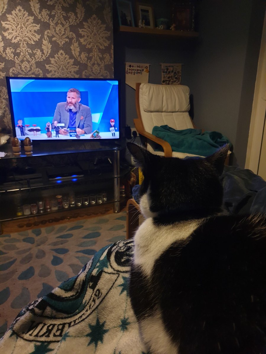 Catching up on watching The Last Leg #isitok #lastleg #Cat