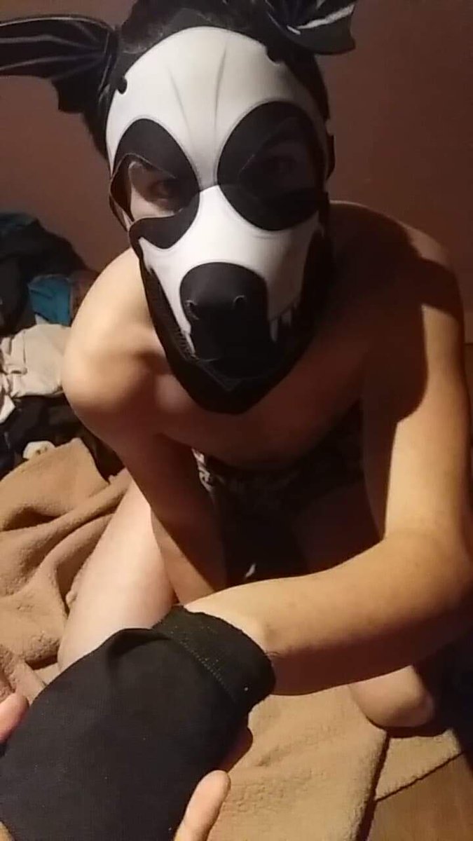 Revanpup's tweet photo. Parce que je suis bien éduqué MOI 😎😇 https://t.co/3gLzOID0hu