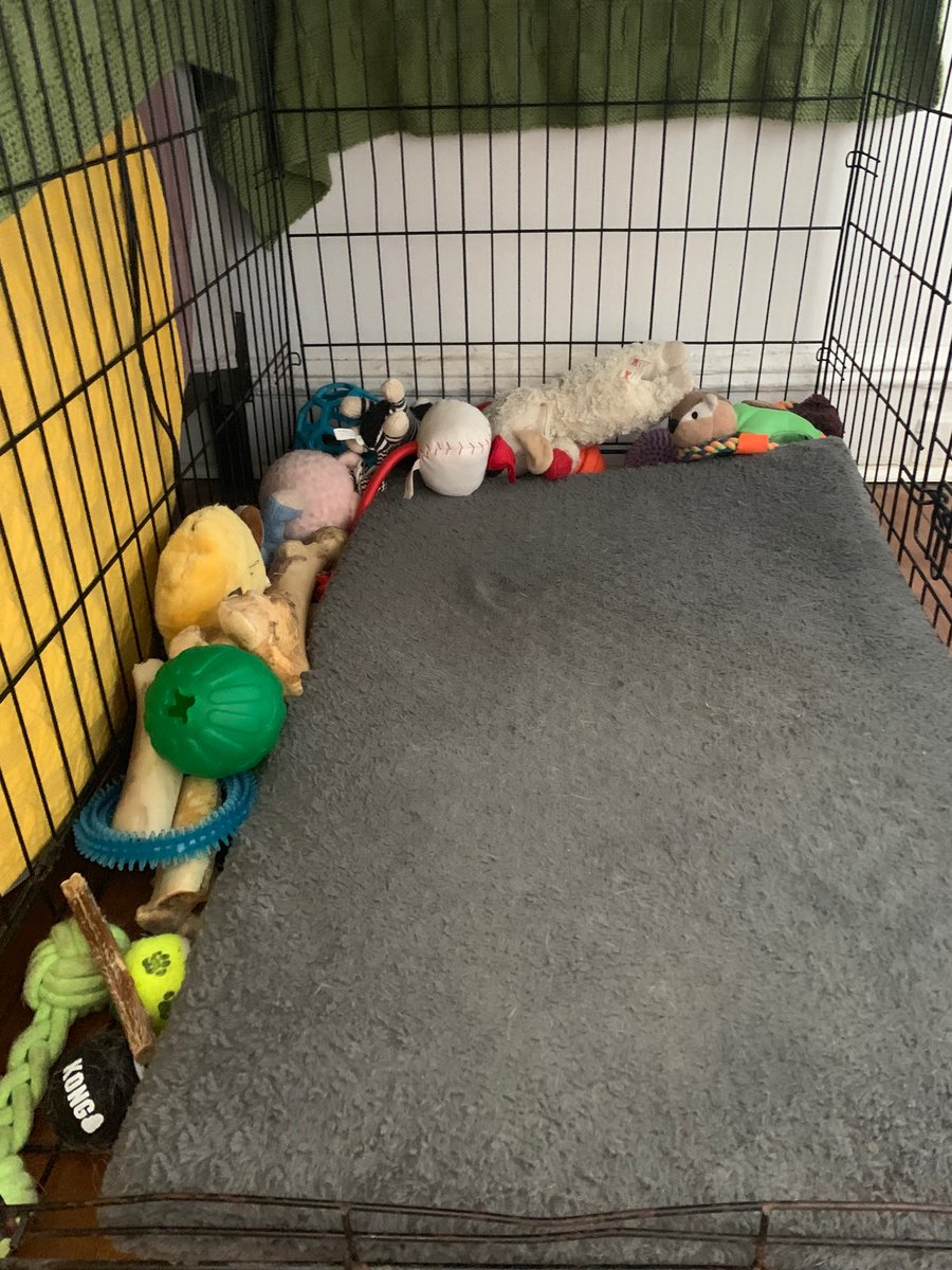 puppy crate toys