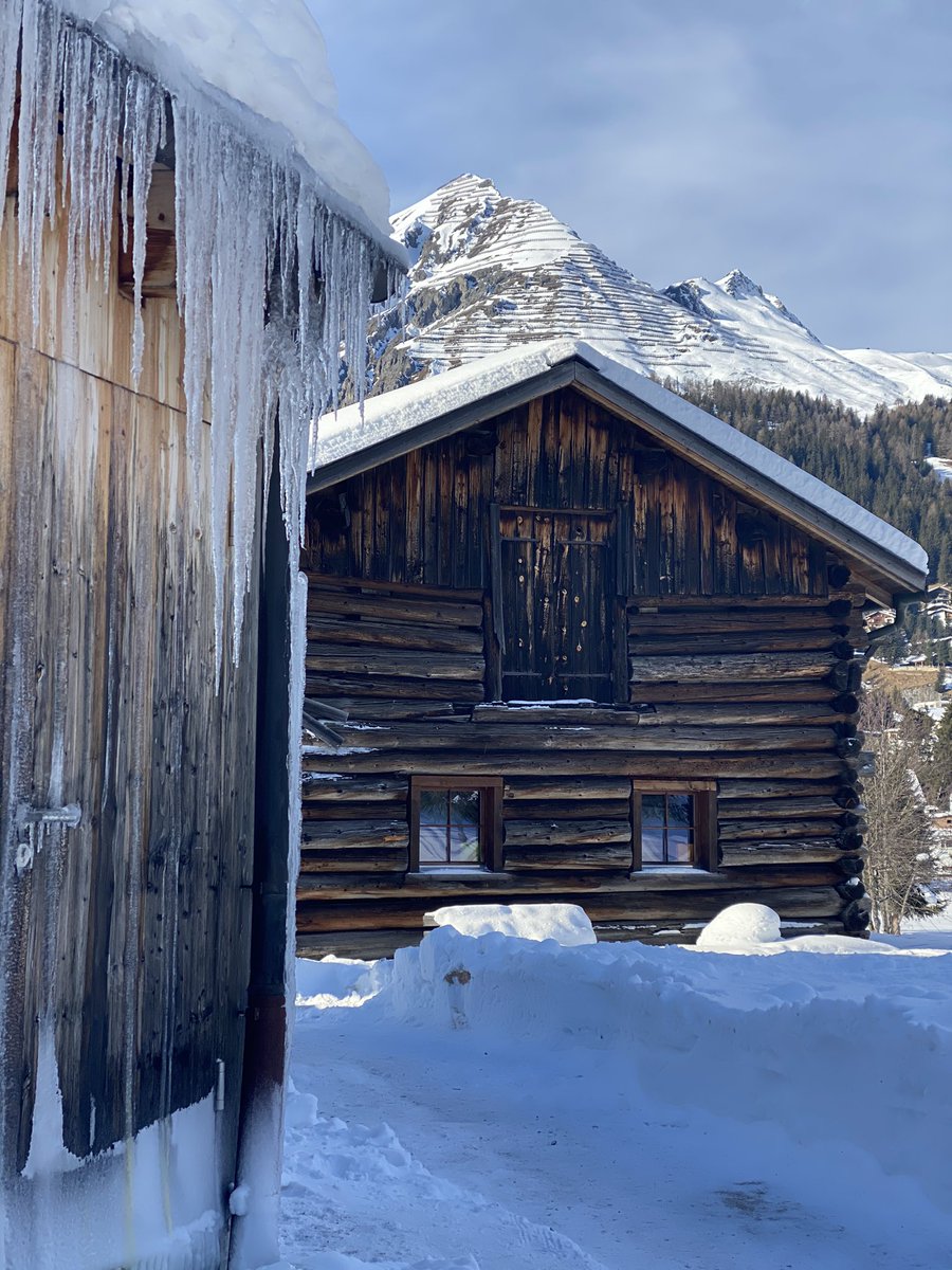 kasgraphics's tweet image. #davos2020#climatechange#exhibition#roksanaciurysek#terradust#plantingtreeswithart