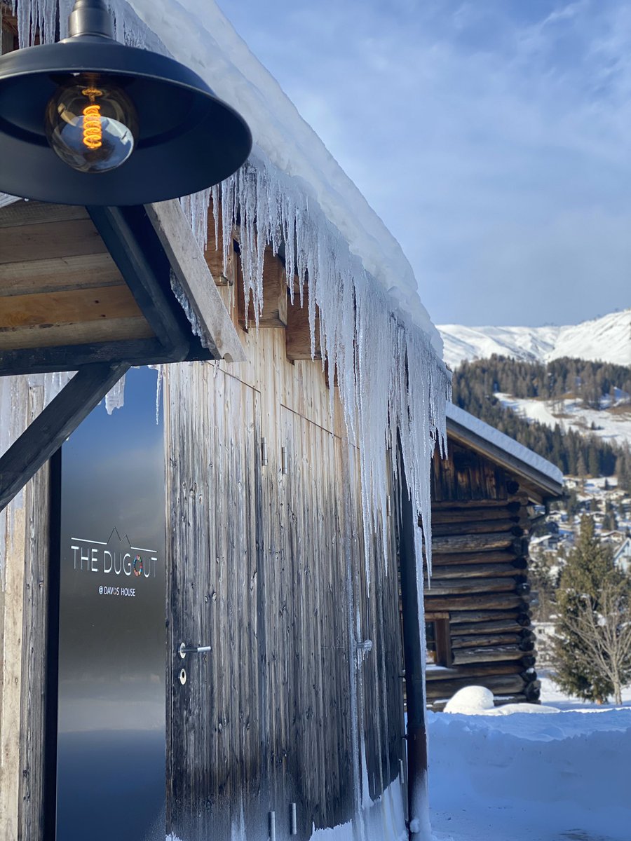 kasgraphics's tweet image. #davos2020#climatechange#exhibition#roksanaciurysek#terradust#plantingtreeswithart