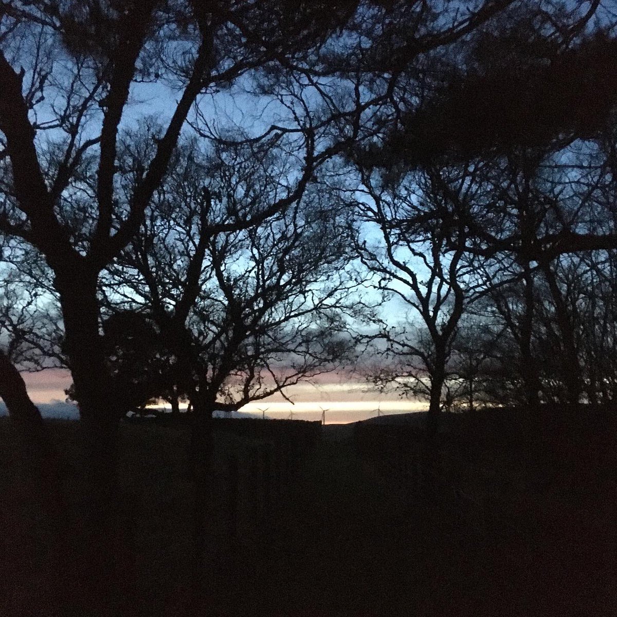 airhouseslauder's tweet photo. Evening daunder with the dog #dogfriendlyholidaysuk #ruralretreat #selfcateringscotland @ airhouses luxury self catering https://t.co/jJrH4djVH1 https://t.co/Pa7RMLZTdB