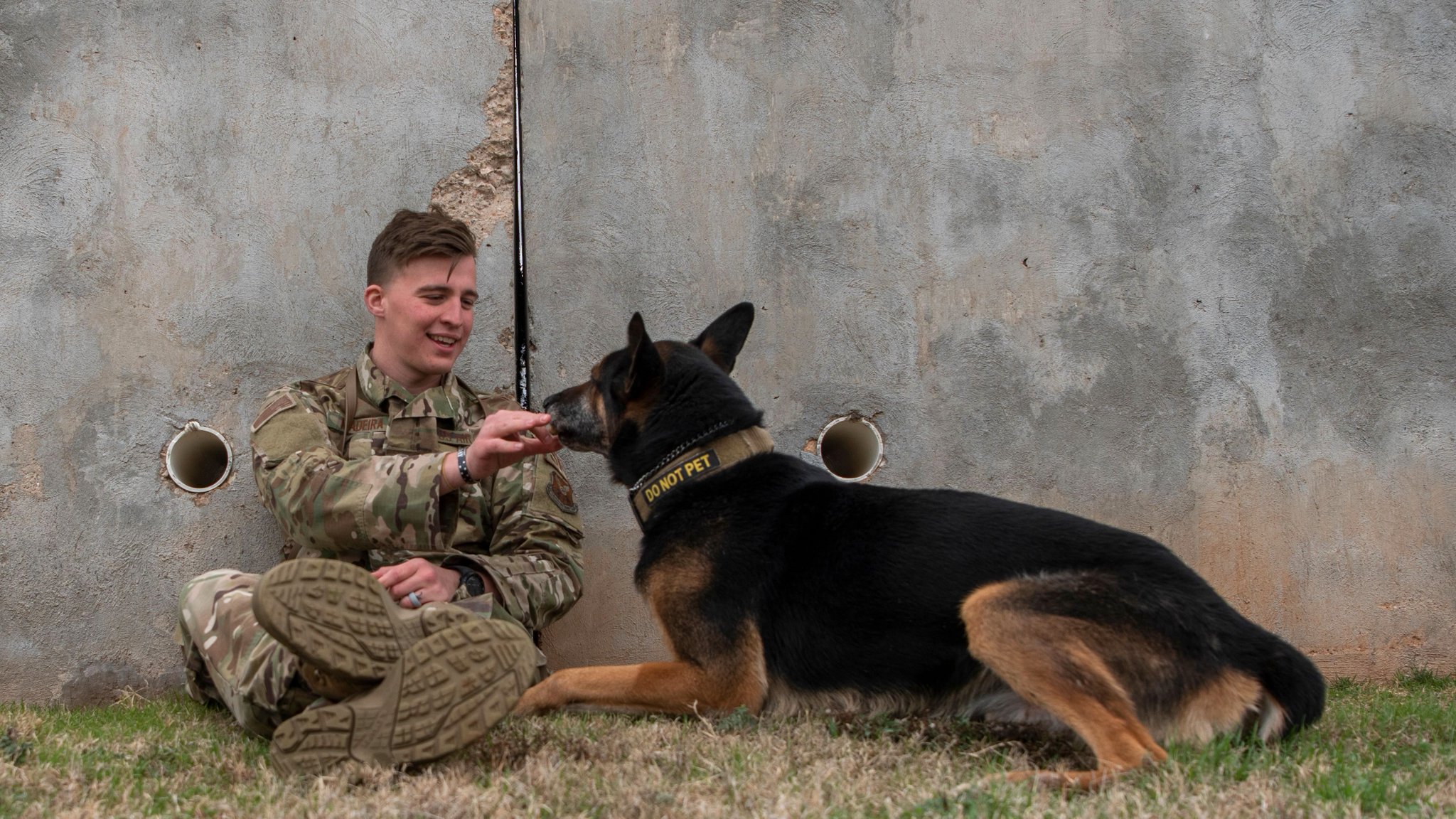 U.S. Air Force on Twitter: "#MilitaryWorkingDogs have a strict diet that  corresponds with their constant training regimen, but sometimes treats are  authorized too. https://t.co/pQc4mLuv0w" / Twitter