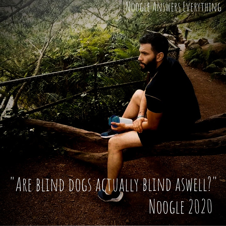 AnswersNoogle's tweet photo. Oh Noogle...
#noogle #noogleanswerseverything #podcast #irishcomedyfire https://t.co/SoAls4EUID