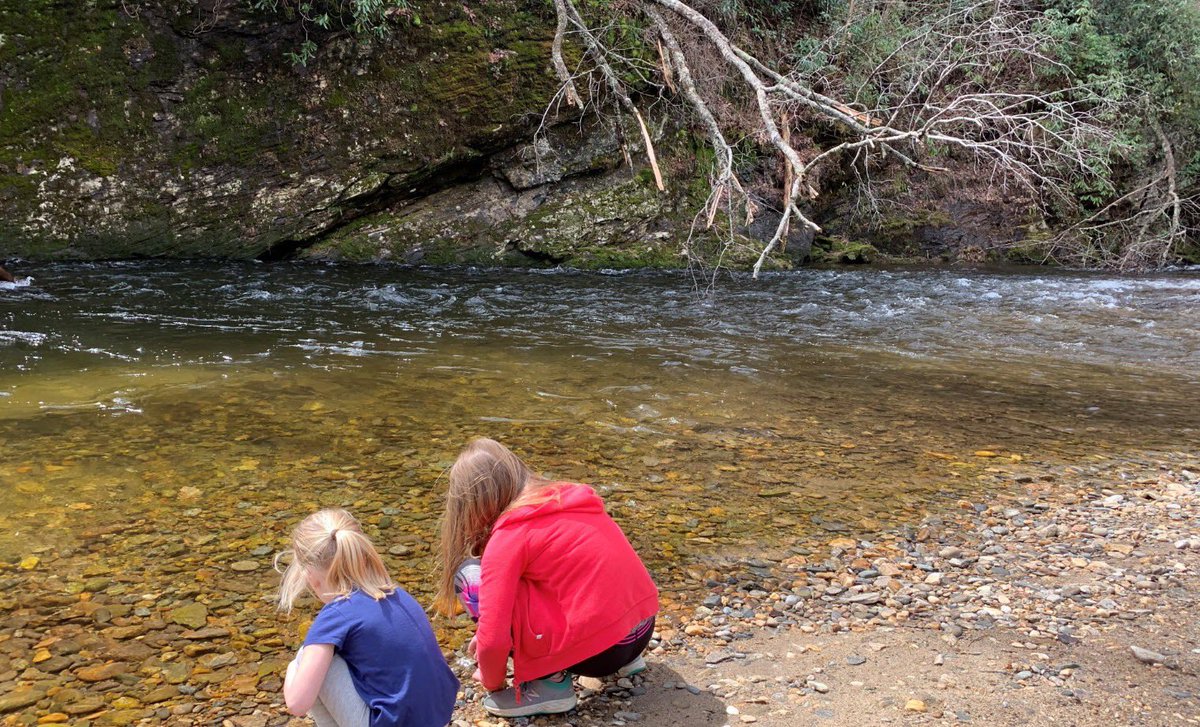HendoLife's tweet image. "Children will learn to explore when they are given the opportunities to do so and not give a reason why they can't."

The #PisgahForest is a short drive from #HendersonvilleNC and has over 500,000 acres to explore. #lovewhereyoulive #hendolife #828isgreat