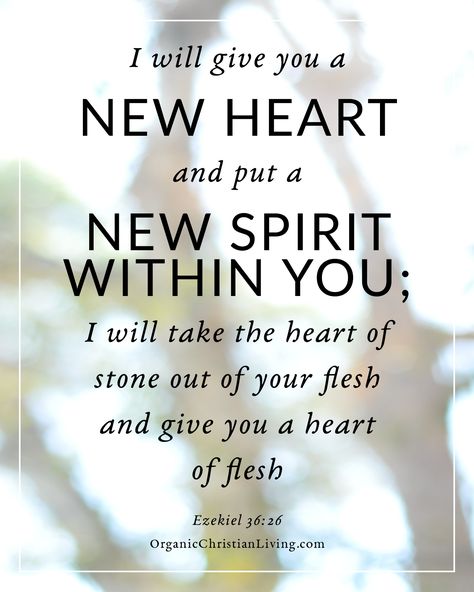 InnocentByabag5's tweet photo. 26 I will give you a new heart and put a new spirit in you; I will remove from you your heart of stone and give you a heart of flesh. 27 And I will put my Spirit in you and move you to follow my decrees and be careful to keep my laws. (EZEKIEL 36:26) https://t.co/Sm1tWNRw79