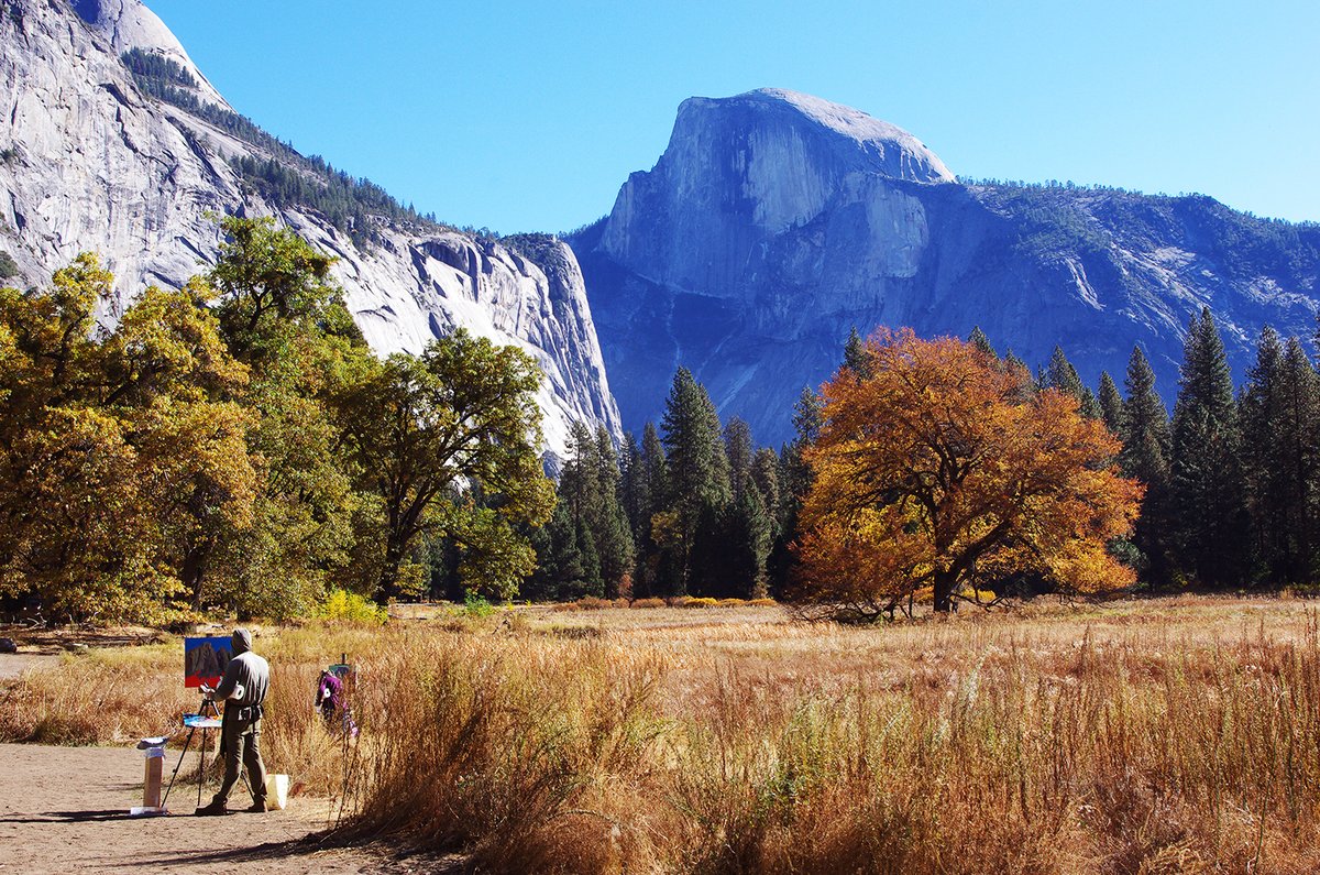 An artist works on a painting of Half Dome from the edge of the meadow.