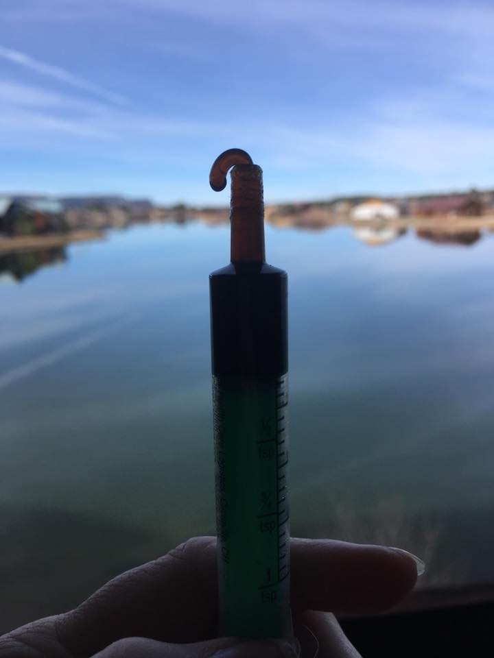 bseritt's tweet photo. I take more mg of THC in a day than most rec users consume in a month.  Still stone cold sober. #knowtheleaf https://t.co/ySlOzGqJiP