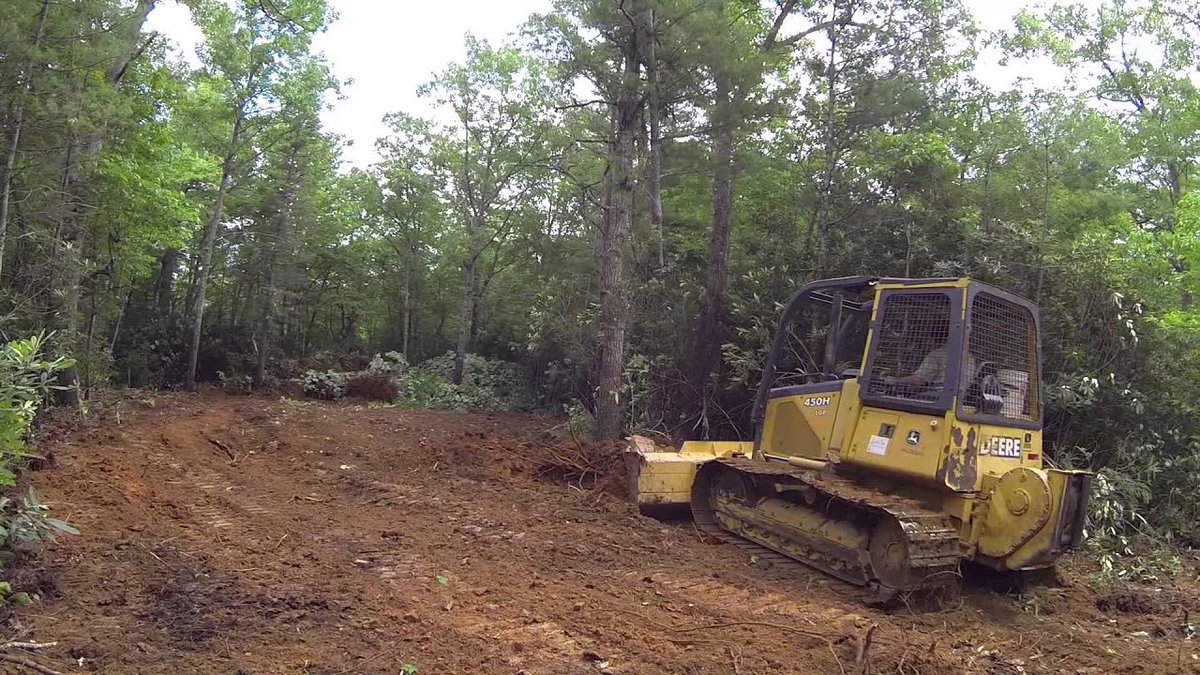 sonjathame's tweet image. Even if you support #HS2 if you appreciate the natural world, can you find it in your heart to at least lobby your MP to stop cutting down trees &amp;amp; hedgerows until a decision has been made on the project's future? #standforthetrees