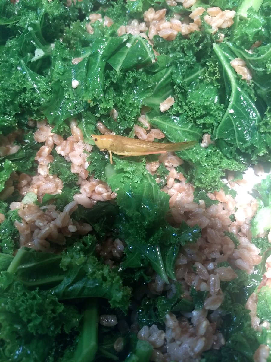 Dan Vazzana tweet media