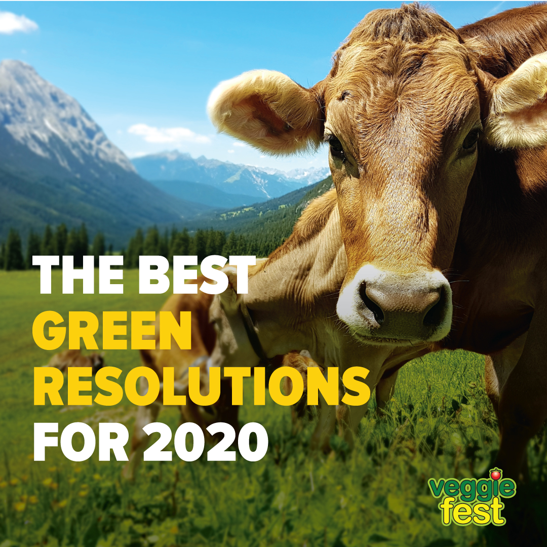 VeggieFest's tweet image. Three best resolutions that each of us can adopt this year to start fresh and make this world a better place to live: Go plant-based, avoid using cars and, avoid using single-use plastics.

#SaveThePlanet #Vegan #GoVegan #ClimateChange #Resolutions2020 #Vegetarianism