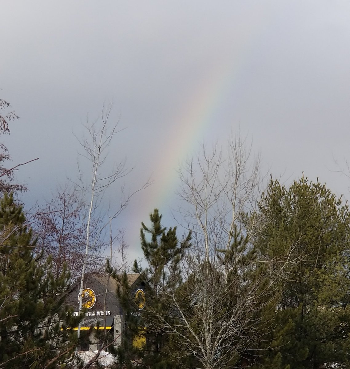 BetsyHavel's tweet photo. @BWWings found the gold at the end of the rainbow! https://t.co/GiqNWEfZhr