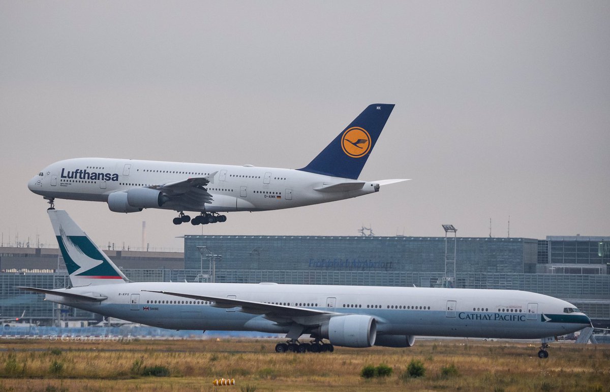 monkg57's tweet photo. Airbus vs Boeing landing at #FrankfurtAirport #BKPS #B777 #CathyPacific #DAIMK #A380 #Lufthansa #Avgeek #FRA #Boeing #Airbus https://t.co/vt5YuvaajU
