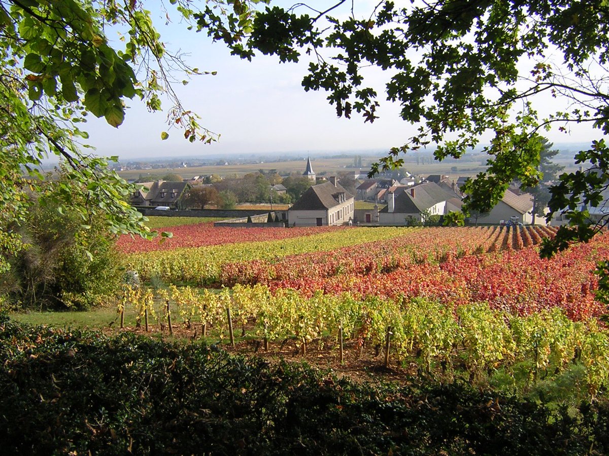 HISTOIRE_DU_VIN's tweet photo. La 77eme édition de la #SaintVincent tournante 2021 aura lieu à Puligny Montrachet. 30 ans après celle de 1991. À l’année prochaine donc ! https://t.co/kJ7qNWRtPw