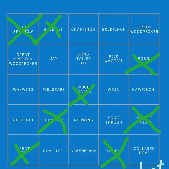 Save The Seas (@savetheseas1) on Twitter photo 