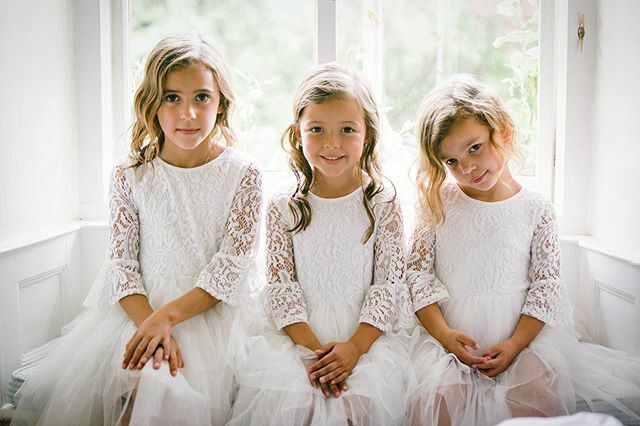 Light & Lace tweet media