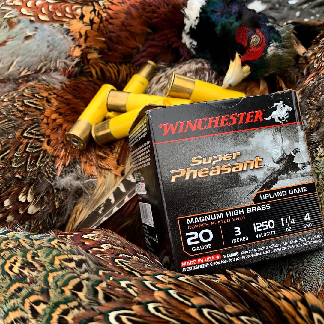 Winchester Super Pheasant is the ideal shotshell for hunters who want an edge in the field: bit.ly/2R4zGWd
📷: @bennyspies