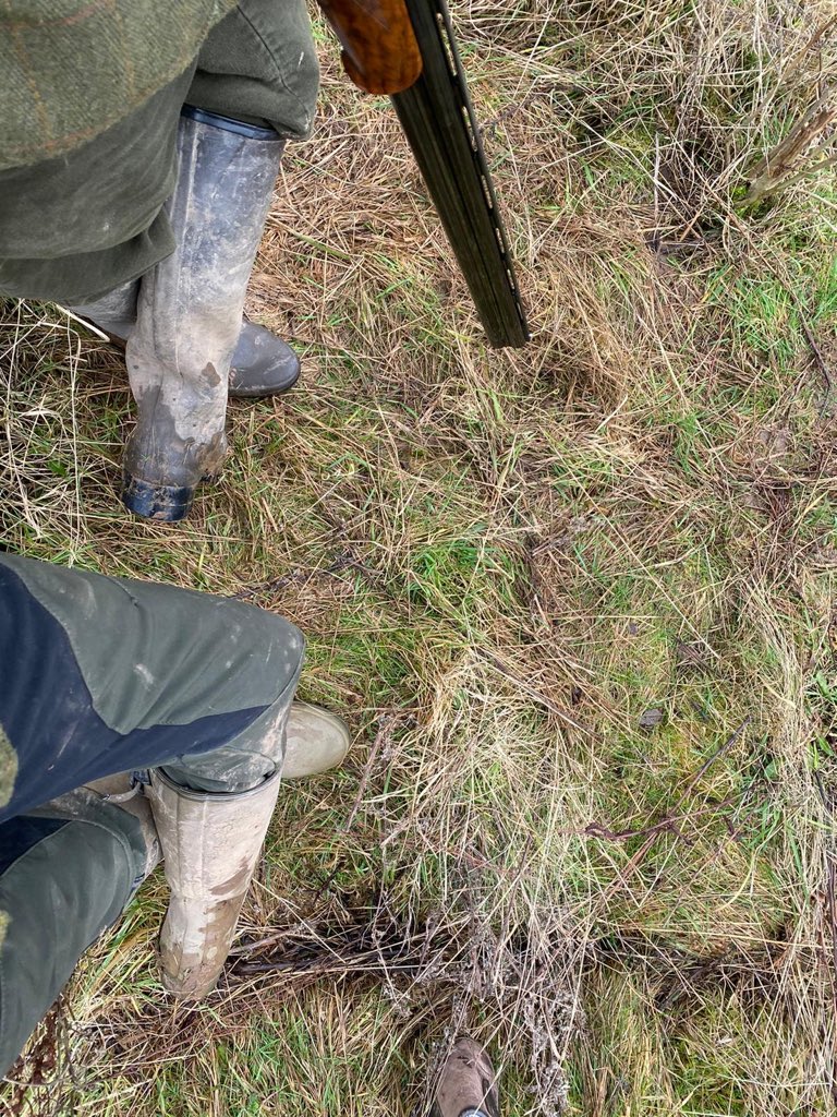 Looking forward beaters days this week.