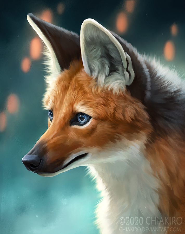 Twitter 上的deviantart Pupils Dilated Ears Perked Posture Forward There S Definitely A Tasty Meal Just Out Of Frame Check Out Kio By Chiakiro T Co Zyxz4s7m6a Fox Wildlifeart Digitalpainting T Co Vxigelve92 Twitter