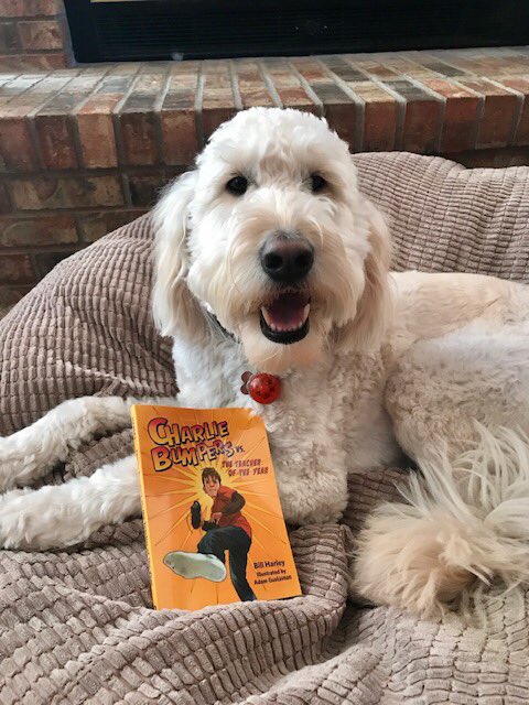 ReederRocks's tweet photo. Even Marty is excited to start One Book One School! #ReederRocks #dogsreading #obos https://t.co/W0zqjYSh5A
