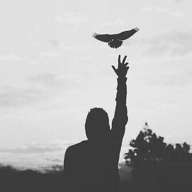 '

التعلق مسلك خاطئ ! قد تستيقظ في يوم من الأيام ، وتجد جميع ما تعلقت بـۃ قد غادرك ، لا تميل كل الميل، إتزن "..