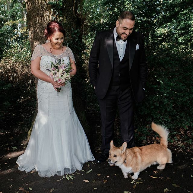 JRyderPhoto's tweet photo. Corgi photobomb
.
.
#photobomb #corgi #weddingphotography #weddingphotographer #weddingportrait #belfastphotographer #fujifilm #fujifilm_xseries #xpro2 https://t.co/kkZzHRM0tm