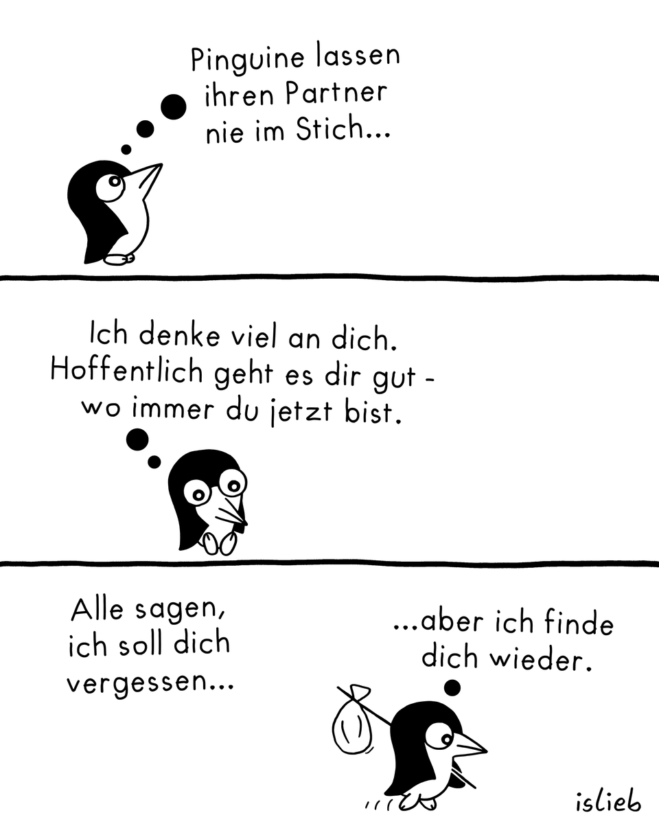 Islieb's tweet photo. Partner 🐧 https://t.co/HBtgCjl5hw