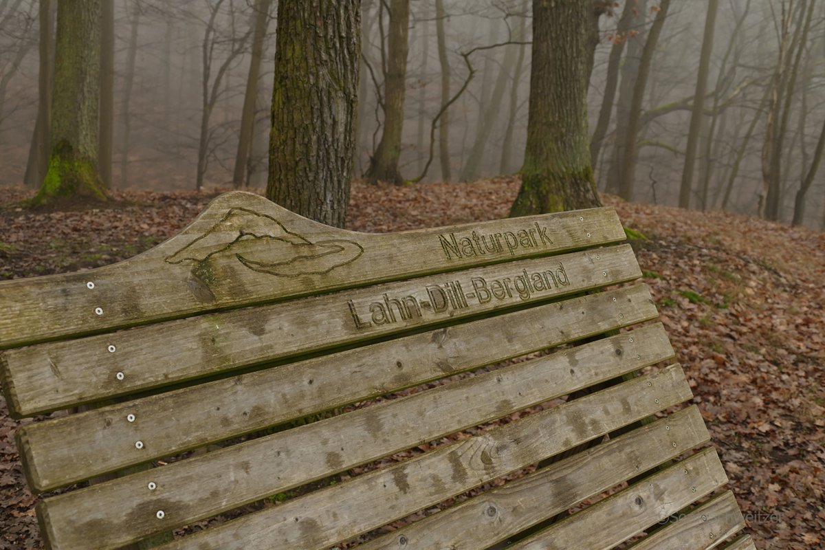 HessenSonja5767's tweet photo. Im #Wald von #Sinn hoch über der #B277 befindet sich diese Bank mit #Aussicht ins #Dilltal ( #Nebel bitte mal weg denken 😀) ............. #Dill #wandern #Naturpark #Wetter #Herborn #LahnDillKreis #LDK #Mittelhessen #Hessen #Germany https://t.co/sSboLFxbqK