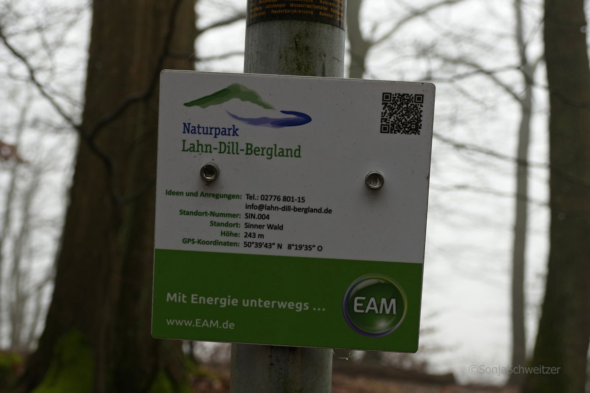HessenSonja5767's tweet photo. Im #Wald von #Sinn hoch über der #B277 befindet sich diese Bank mit #Aussicht ins #Dilltal ( #Nebel bitte mal weg denken 😀) ............. #Dill #wandern #Naturpark #Wetter #Herborn #LahnDillKreis #LDK #Mittelhessen #Hessen #Germany https://t.co/sSboLFxbqK