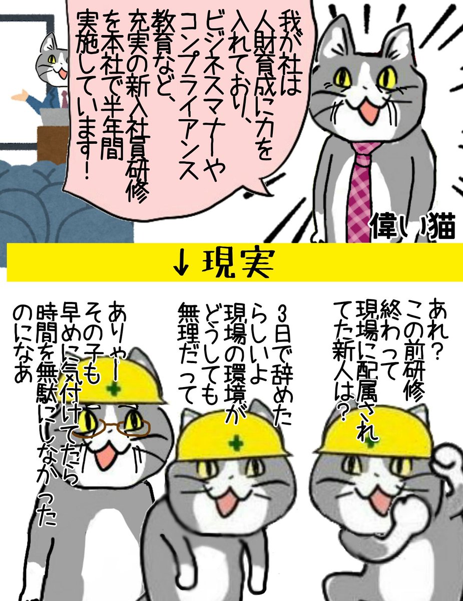 新入社員研修の弊害 #現場猫 