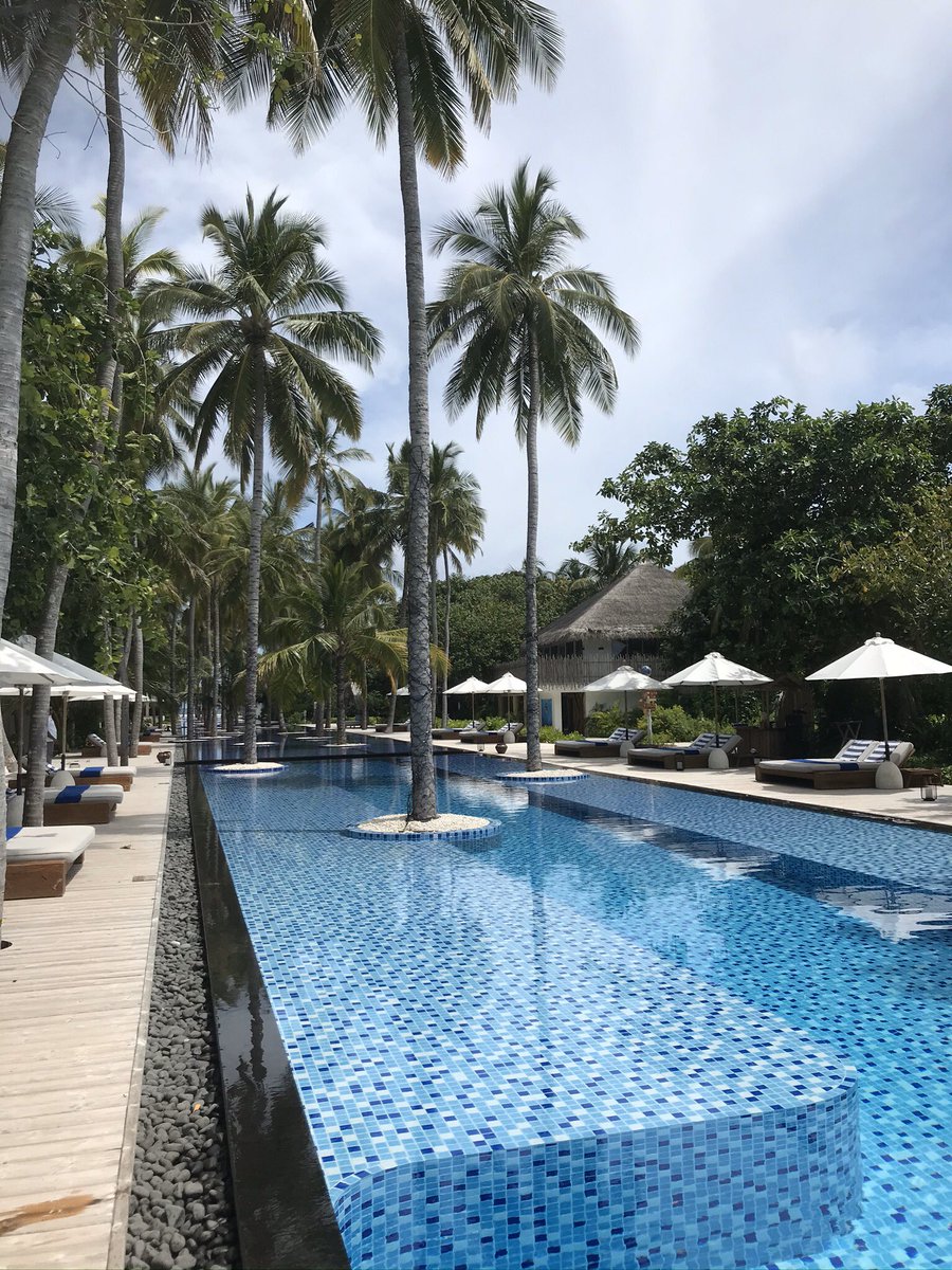 Kuoni Bluewater tweet media