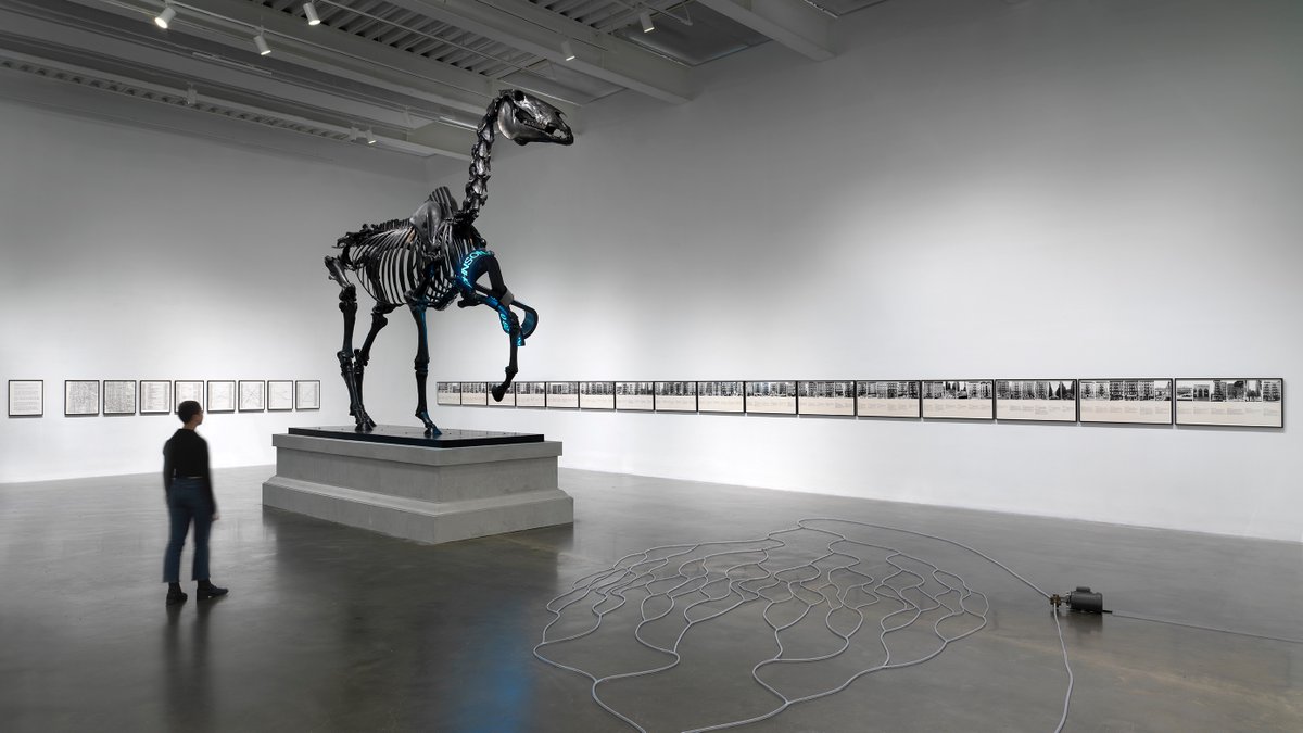 A photo showing someone viewing Hans Haacke's work "Gift Horse." The work is composed of a larger-than-life horse skeleton in bronze resting on a stone plinth. The thigh of the horse is tied with a LED ribbon bearing current stock prices in a stream of blue text.